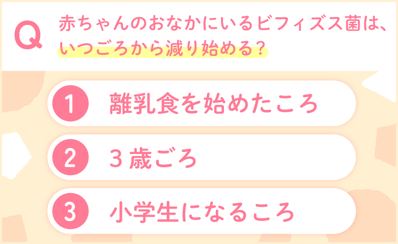 ビフィズス菌が減少する理由とは 2