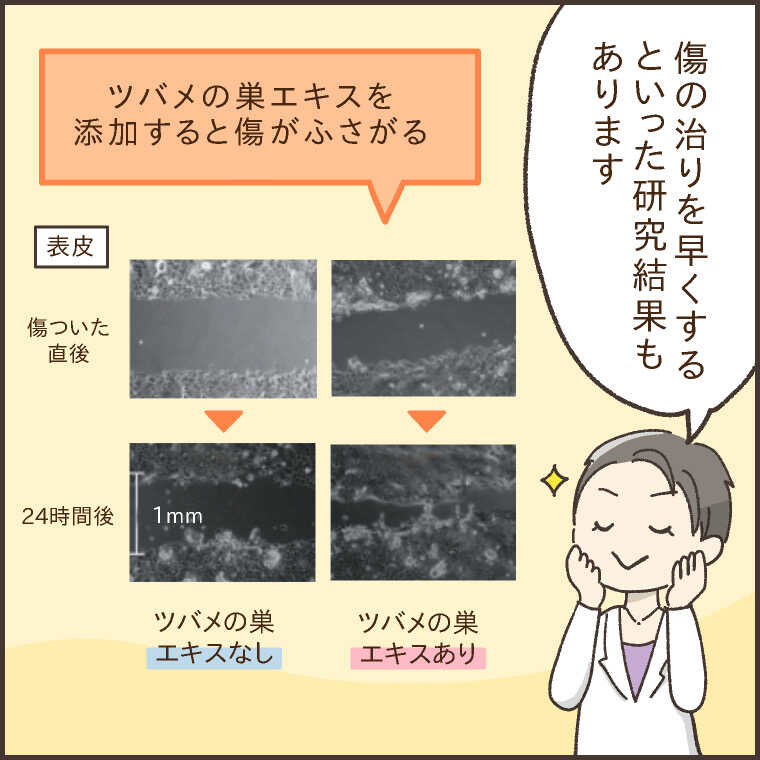 中国・台湾・韓国などの産後ケア先進国では、古来からツバメの巣が妊娠・出産祝いとして人気6