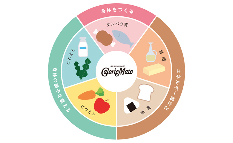 5 大栄養素とその役割について