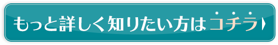 もっと詳しく知りたい方はコチラ