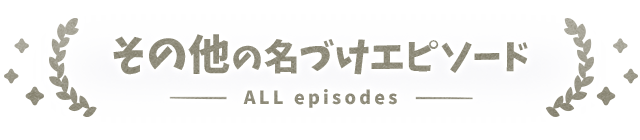 その他名づけエピソード