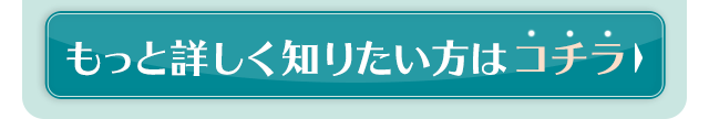 もっと詳しく知りたい方はコチラ