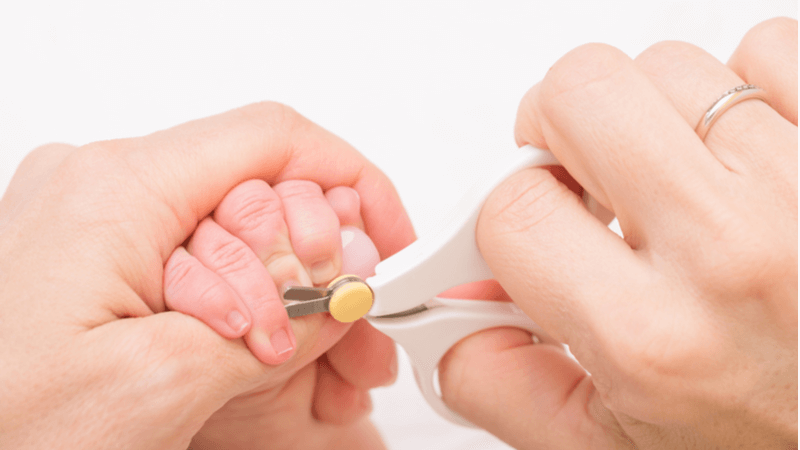 赤ちゃん用の爪切りおすすめ10選 選び方のポイントと爪切りのコツも ベビーカレンダーマガジン