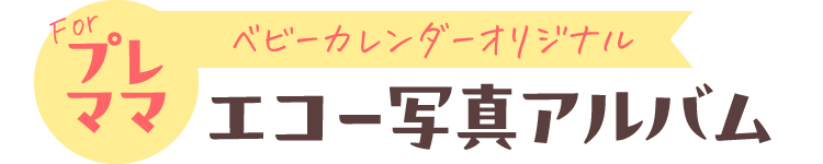 Forプレママ エコー写真アルバム