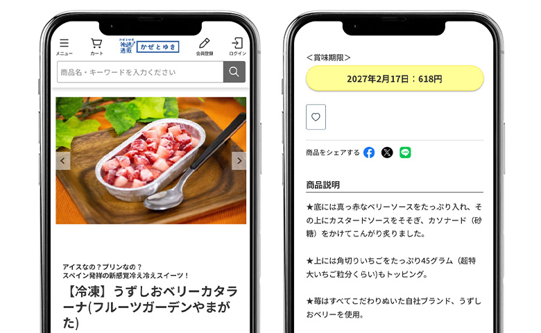 「かぜとゆき」の速さ・安さに驚き-05