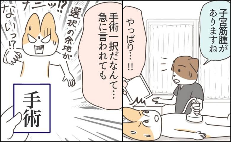 アラフィフが子宮全摘／宮島もっちー