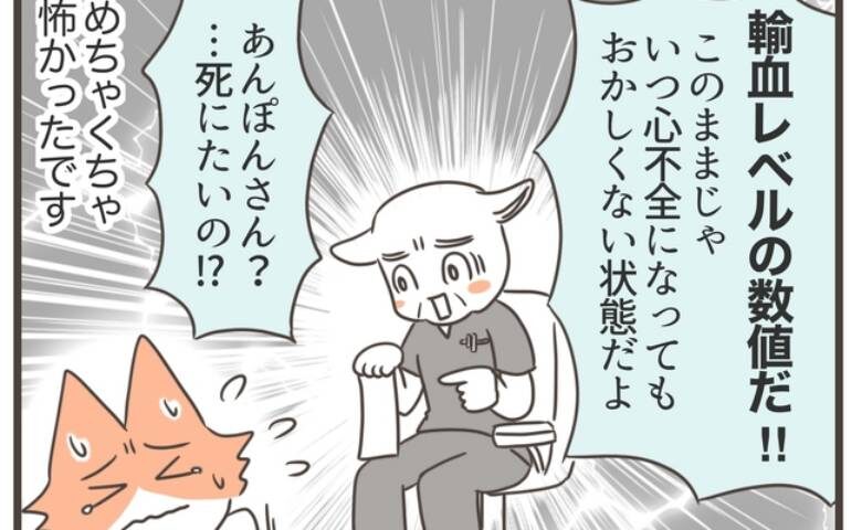 貧血から見つかった子宮筋腫／宮島もっちー